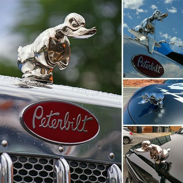 Lustige Gummiente für die Motorhaube – Quirliges Autozubehör