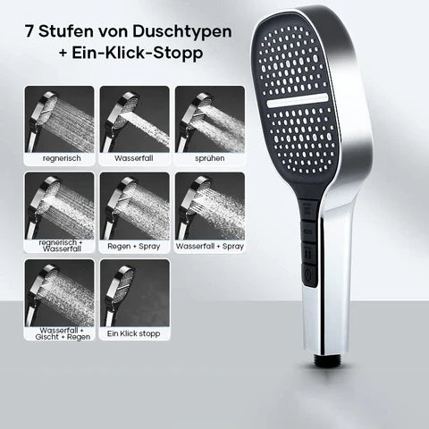 Wellness Regen Handbrause