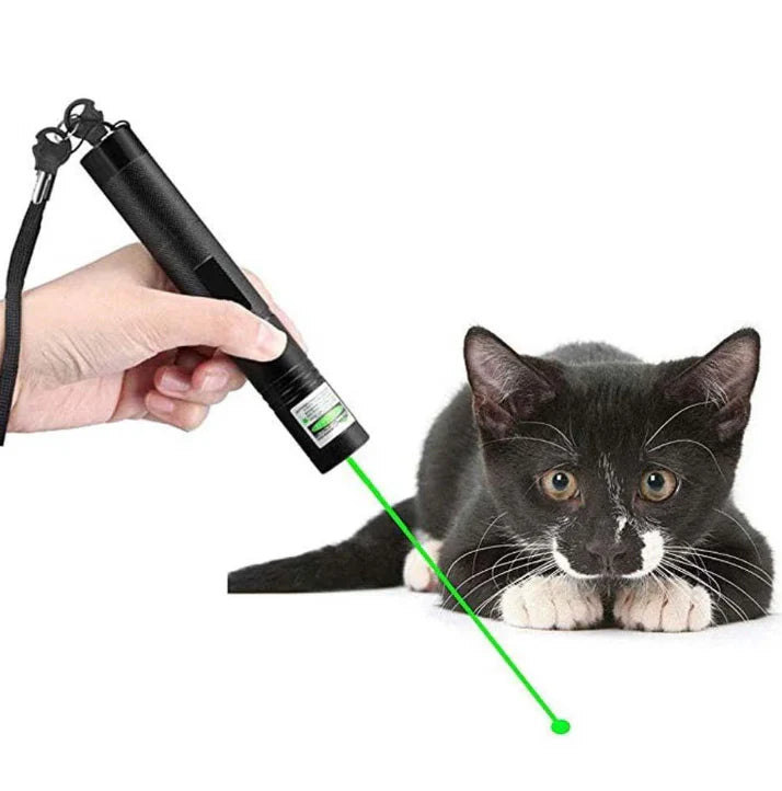 Präzisions-Laserpointer für Profis