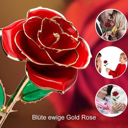Ewige Gold-Rose
