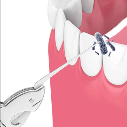 Edelstahl-Zahnstocher „DelfinPick“ – Stilvoll, Robust & Wiederverwendbar!