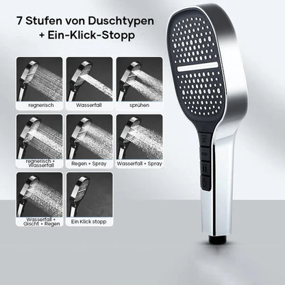 Wellness Regen Handbrause